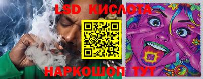 гашик Нальчик