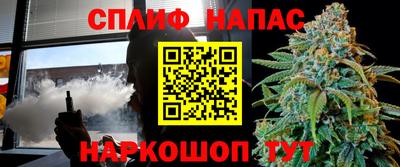 гашик Нальчик