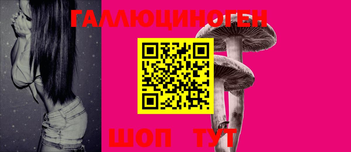 Галлюциногенные грибы мухоморы  Галлюциногенные грибы прущие грибы  Вход с VPN  Серов 